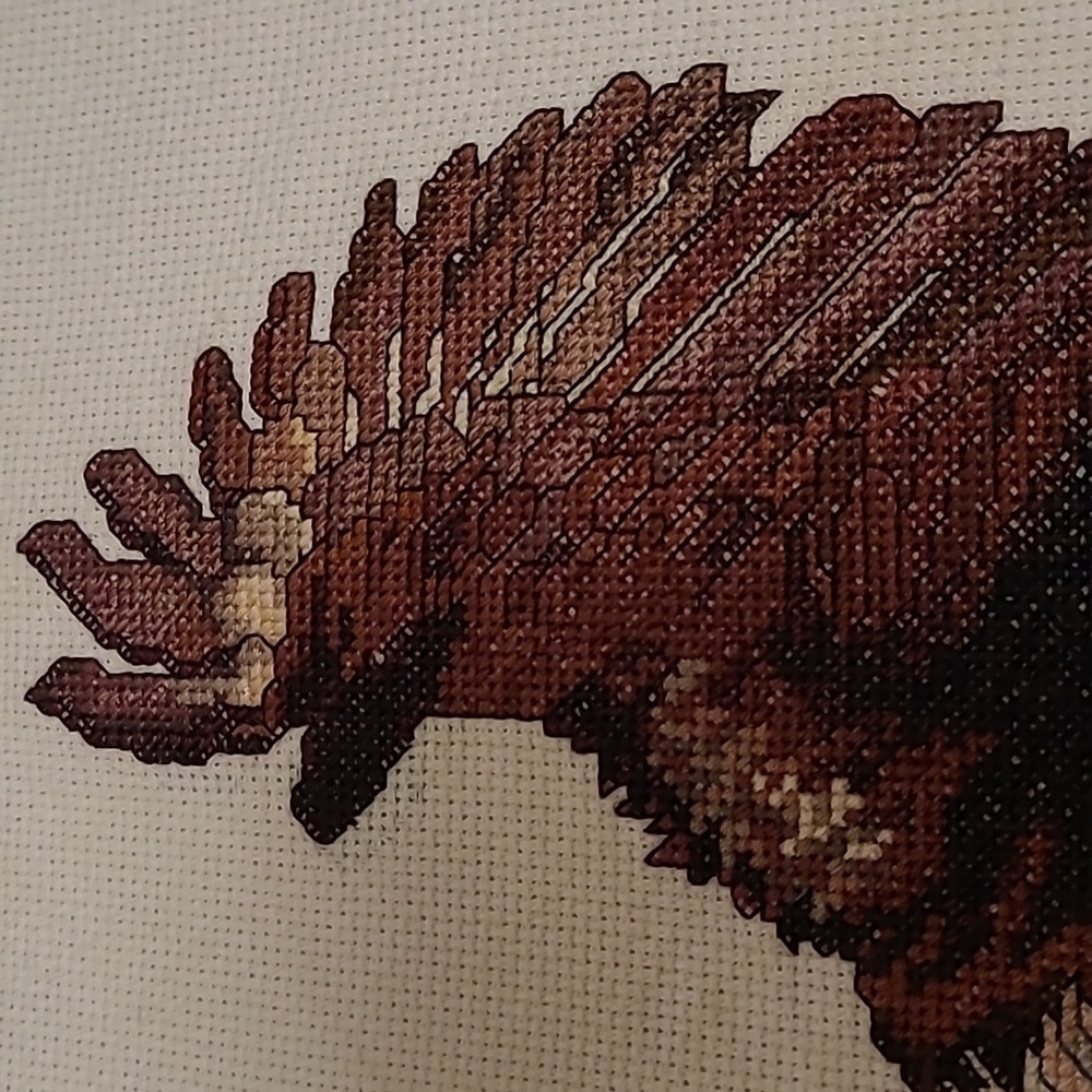 Vintage Flying Eagle Finished Cross Stitch Sampler - Picture 3 of 15